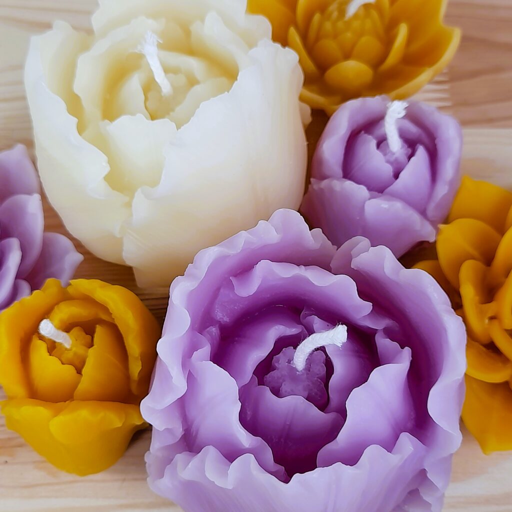 Tulpen Kerze klein in 3 Farben