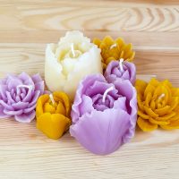 20250717_093209 20250717_093209