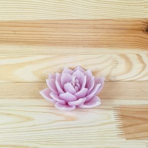 lotus 3
